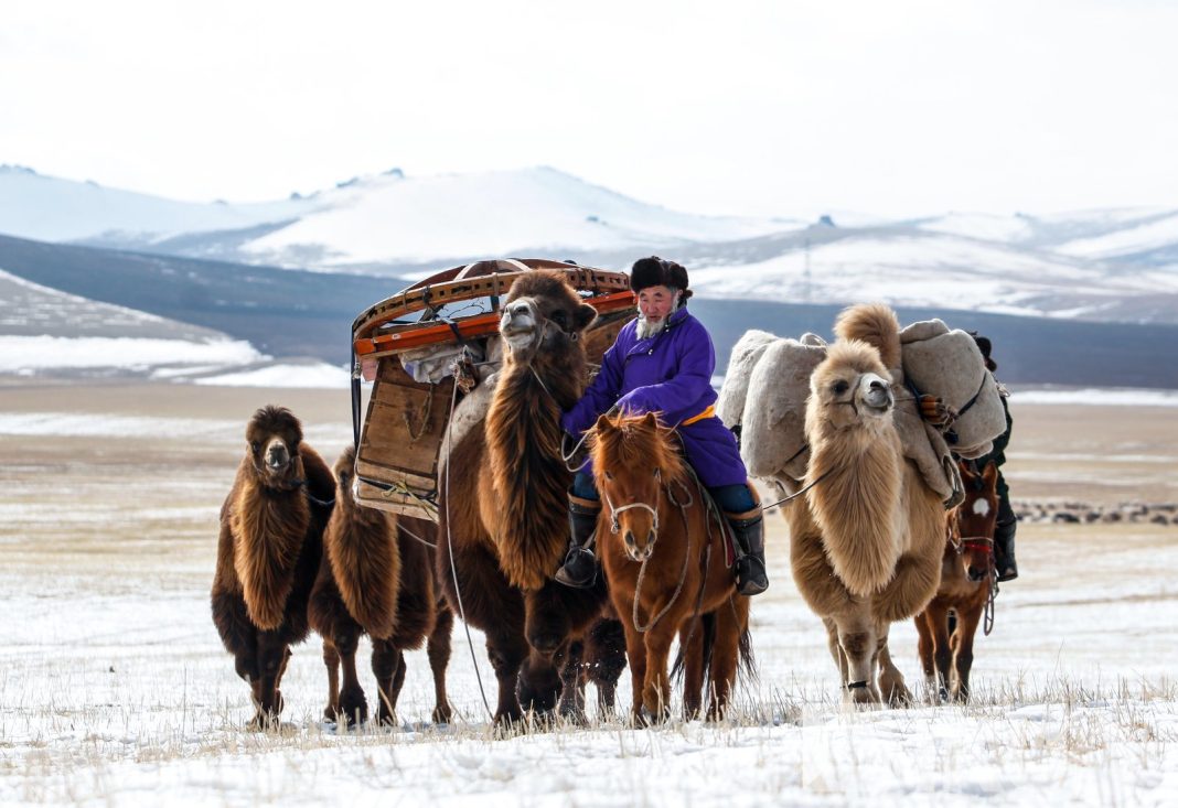 ЮНЕСКО-д бүртгэгдсэн 5 монгол өвийн нууц өнөөдөр ил боллоо