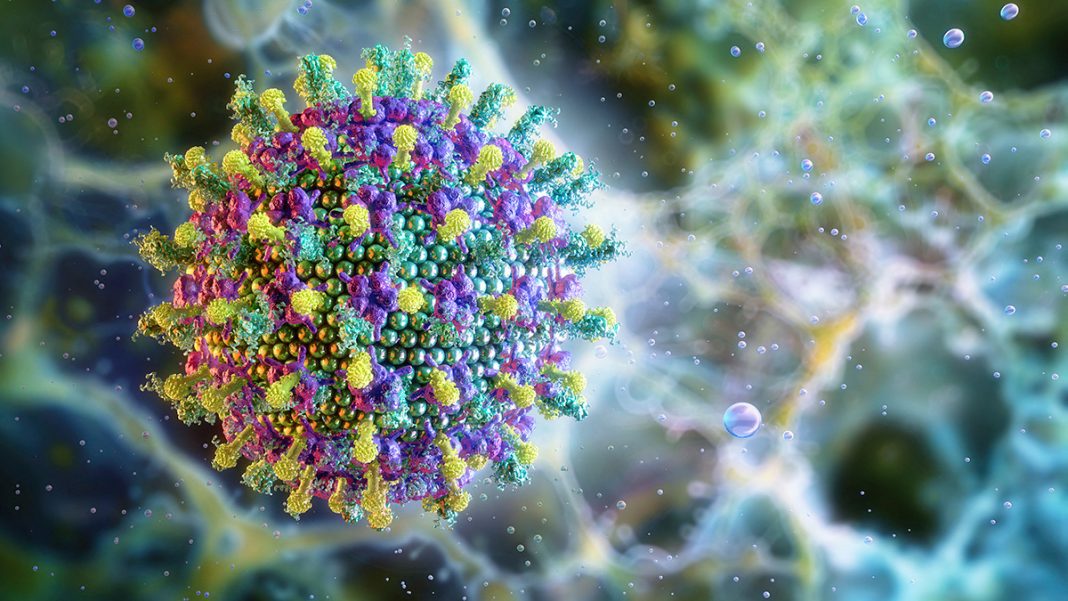 ДЭМБ: Нипах вирусээр халдварласан хүн огт шинж тэмдэггүй байх эрсдэлтэй