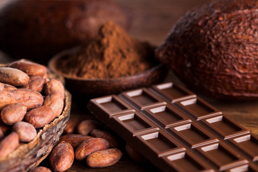 Шоколад дахь нууц нэгдэл хөгшрөлтийн хурдыг сааруулах шинжтэй байж мэднэ