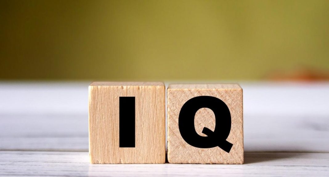 Монголчууд IQ-ийн дундаж оноогоор дэлхийд 8-д бичигдлээ