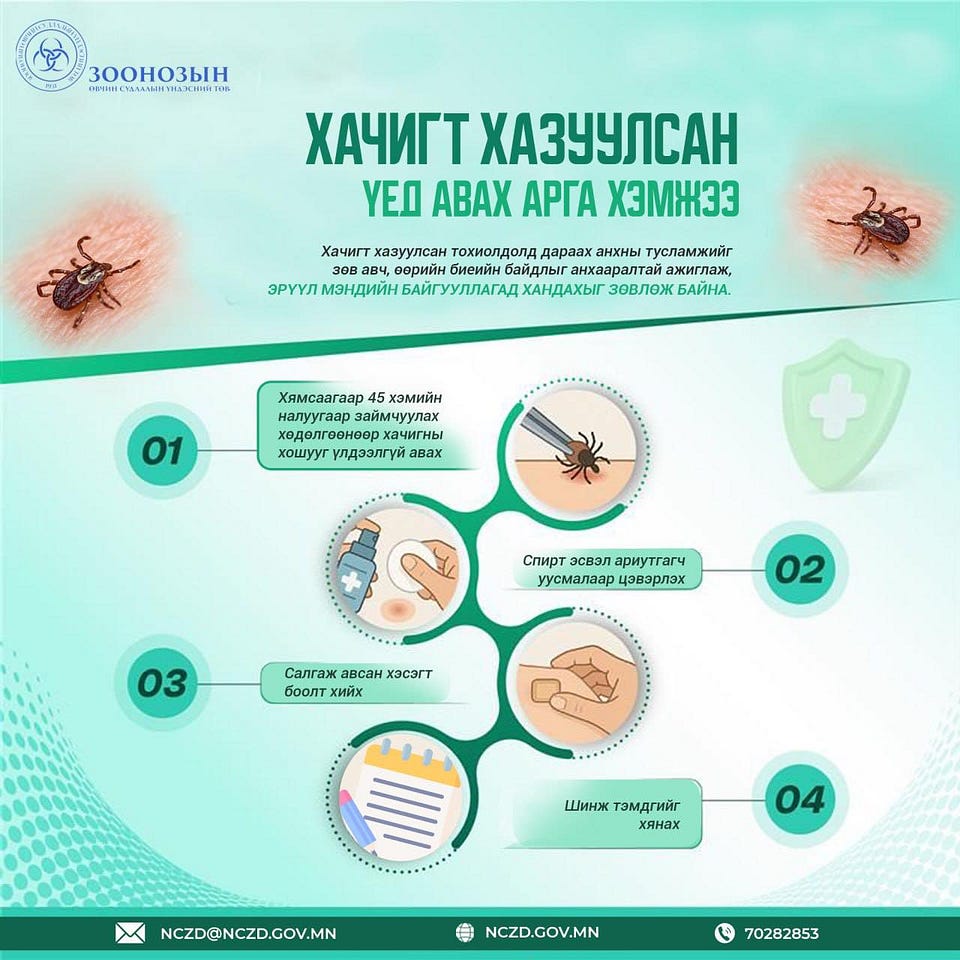 Хачигт хазуулбал яах вэ: Хүмүүсийн ихэнх нь мэддэггүй чухал алхмууд 1 Хачигт хазуулбал яах вэ: Хүмүүсийн ихэнх нь мэддэггүй чухал алхмууд