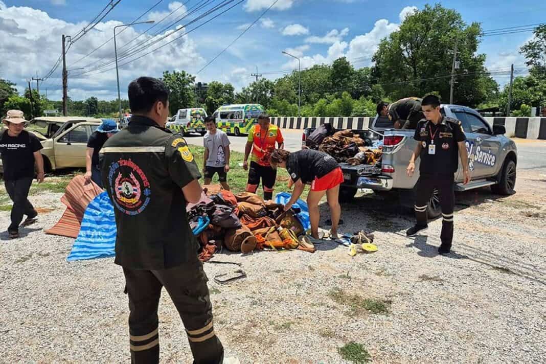 Тайландад 11 настай хүүхэд пикапаар 9 лам мөргөж амь эрсэдүүлсэн
