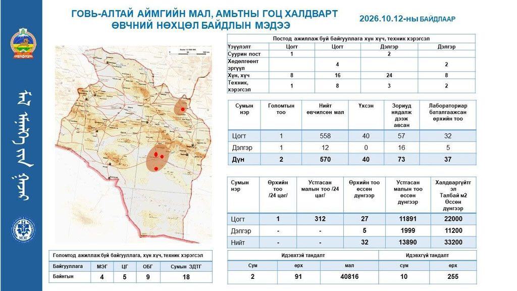 Говь-Алтайд годрон өвчин дэгдэж, 13 мянга гаруй ямааг устгалд оруулжээ